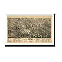 Panoramic Map - Winston Salem, North Carolina, 1891 - Bird's Eye View Print
