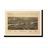 Panoramic Map - Carthage, New York, 1888 - Bird's Eye View Print