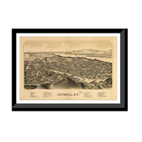 Panoramic Map - Catskill, New York, 1889 - Bird's Eye View Print