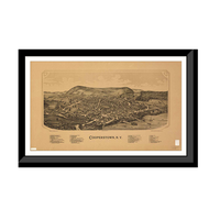 Panoramic Map - Cooperstown, New York, 1890 - Bird's Eye View Print