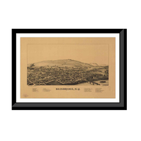 Panoramic Map - Bainbridge, New York, 1889 - Bird's Eye View Print