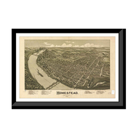 Panoramic Map - Homestead, Pennsylvania, 1902 - Bird's Eye View Print