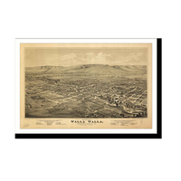 Panoramic Map - Walla Walla, Washington, 1876 - Bird's Eye View Print