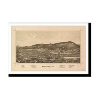 Panoramic Map - Bristol, Vermont, 1889 - Bird's Eye View Print