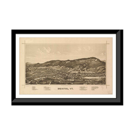 Panoramic Map - Bristol, Vermont, 1889 - Bird's Eye View Print