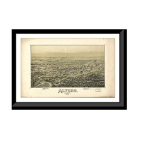 Panoramic Map - Alvord, Texas, 1890 - Bird's Eye View Print