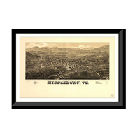 Panoramic Map - Middlebury, Vermont, 1886 - Bird's Eye View Print