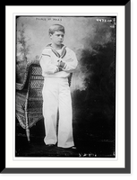 Historic Framed Print, Prince of Wales - 5,  17-7/8" x 21-7/8"