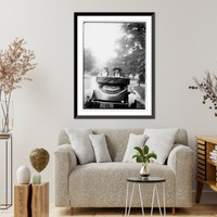 Young - 23, Historic Reproduction