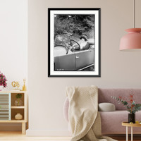 Historic Framed Print, Young - 24,  17-7/8" x 21-7/8"