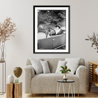 Historic Framed Print, Young - 24,  17-7/8" x 21-7/8"