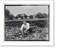 Historic Framed Print, Murray - 3,  17-7/8" x 21-7/8"