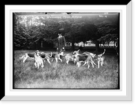 Historic Framed Print, Mineola Dog Show, Middlesex pack of hounds,  17-7/8" x 21-7/8"