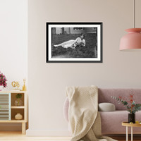 Historic Framed Print, Galli - Curci - 91,  17-7/8" x 21-7/8"