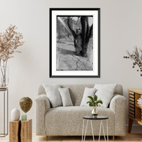Giannini - 14, Historic Print