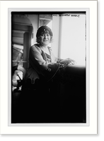 Mrs. Waddington-Grealy, Historic Reproduction