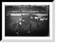 Historic Framed Print, Horse Show, carriage of A.G. Vanderbilt,  17-7/8" x 21-7/8"