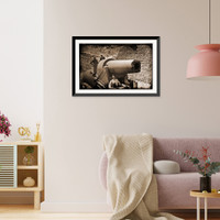 Historic Framed Print, Morris Island South Carolina. 300-pounder Parrot Rifle after bursting of muzzle,  17-7/8" x 21-7/8"
