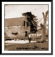 Port Royal Island S.C. African Americans preparing cotton for the gin on Smiths pla Classic, Antique Poster