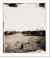Historic Framed Print, Savannah Georgia (vicinity). Wagon train parked near Savannah,  17-7/8" x 21-7/8"