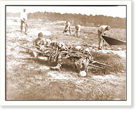Cold Harbor Va. African Americans collecting bones of soldiers killed in the battle, Vintage Wall Art