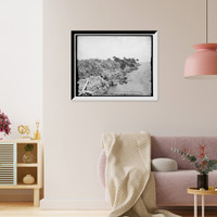 Historic Framed Print, Coquina shore line, Indian River,  17-7/8" x 21-7/8"