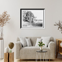 Shore line along Lake George, Fla, Antique Poster