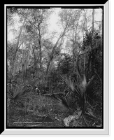 Historic Framed Print, Berresford [sic] Hammock, The,  17-7/8" x 21-7/8"