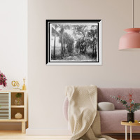 Historic Framed Print, Old Causeway, near Ormond, Fla.,  17-7/8" x 21-7/8"