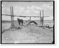 Pump wheel at the salt wells, Mexico Classic, Antique Poster