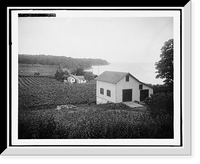 Historic Framed Print, Vineyards, Put-in-Bay, Ohio,  17-7/8" x 21-7/8"