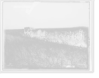Historic Framed Print, Tracey [i.e. Tracy], Minn., a country road,  17-7/8" x 21-7/8"