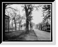 Historic Framed Print, Oglethorpe Avenue, Savannah, Ga.,  17-7/8" x 21-7/8"