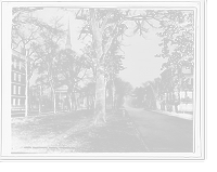 Historic Framed Print, Oglethorpe Avenue, Savannah, Ga.,  17-7/8" x 21-7/8"