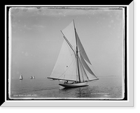 Historic Framed Print, Babboon,  17-7/8" x 21-7/8"