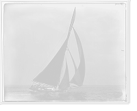 Hawk, July 22, 1891, Historic Reproduction