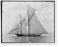 Volunteer - 4, Historic Print