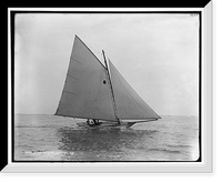 Tadpole, Historic Reproduction