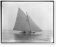 Tadpole, Historic Reproduction