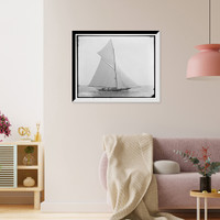 Historic Framed Print, Wasp - 3,  17-7/8" x 21-7/8"