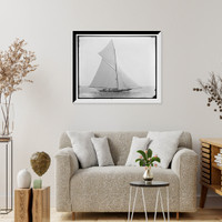 Historic Framed Print, Wasp - 3,  17-7/8" x 21-7/8"