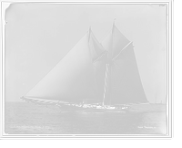 Merlin - 3 Classic, Antique Print