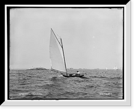 Vanessa, Historic Reproduction
