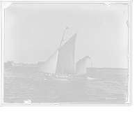 Historic Framed Print, Deuce,  17-7/8" x 21-7/8"