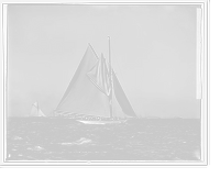 Shamrock I, setting top sail, Antique Wall Art
