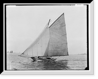 Tadpole - 3, Historic Print