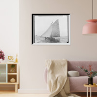Tadpole - 3, Historic Print