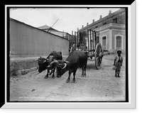 Historic Framed Print, Native ox cart, Havana,  17-7/8" x 21-7/8"