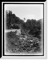 Historic Framed Print, On the road to the Botanical Gardens, Martinique, W.I.,  17-7/8" x 21-7/8"