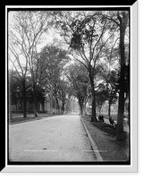 Historic Framed Print, Temple Street, New Haven,  17-7/8" x 21-7/8"